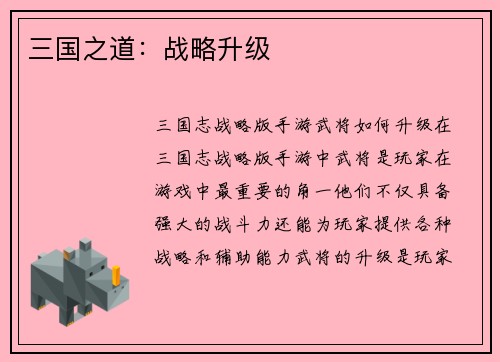 三国之道：战略升级